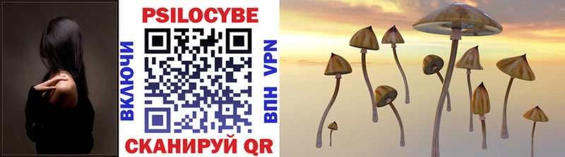 Галлюциногенные грибы MAGIC MUSHROOMS  Купить  Черногорск 