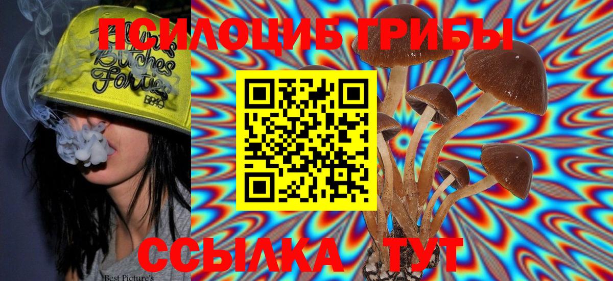 Черногорск  Псилоцибиновые грибы Magic Shrooms  Вход с VPN 