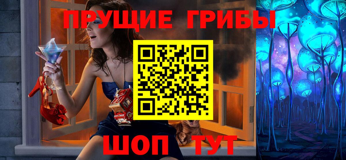 Галлюциногенные грибы Psilocybine cubensis  Черногорск 