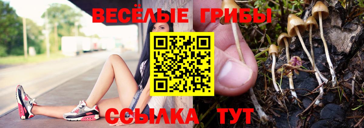 Галлюциногенные грибы GOLDEN TEACHER Черногорск